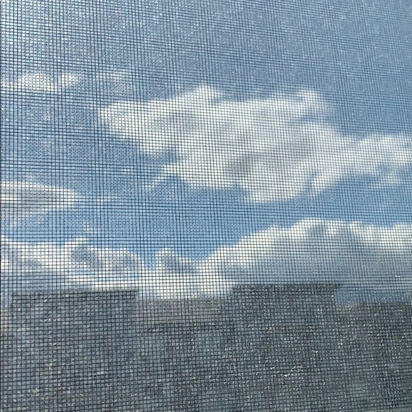 SOLD—-🌟CLOSEOUT🌟 Rayban Wayferers-LITEFORCE - Picture 9 of 11